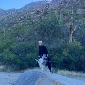 Meet your Posher, Todor